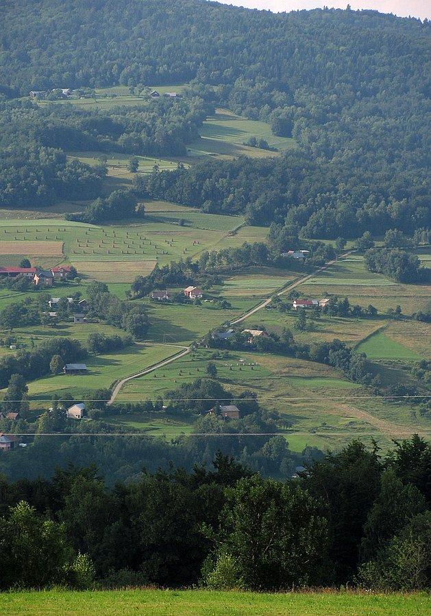 Rzut oka na ostatni dziś podjazd - w stronę Beskidzkiego Merskiego Oka