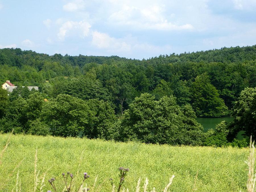 Jezioro Salno