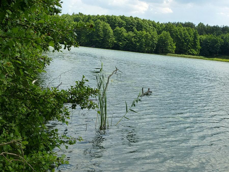 Jezioro Salno