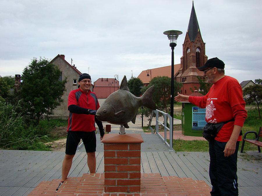 W kólko Macieju