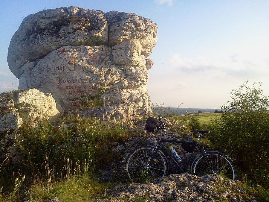 Skałki w Niegowonicach