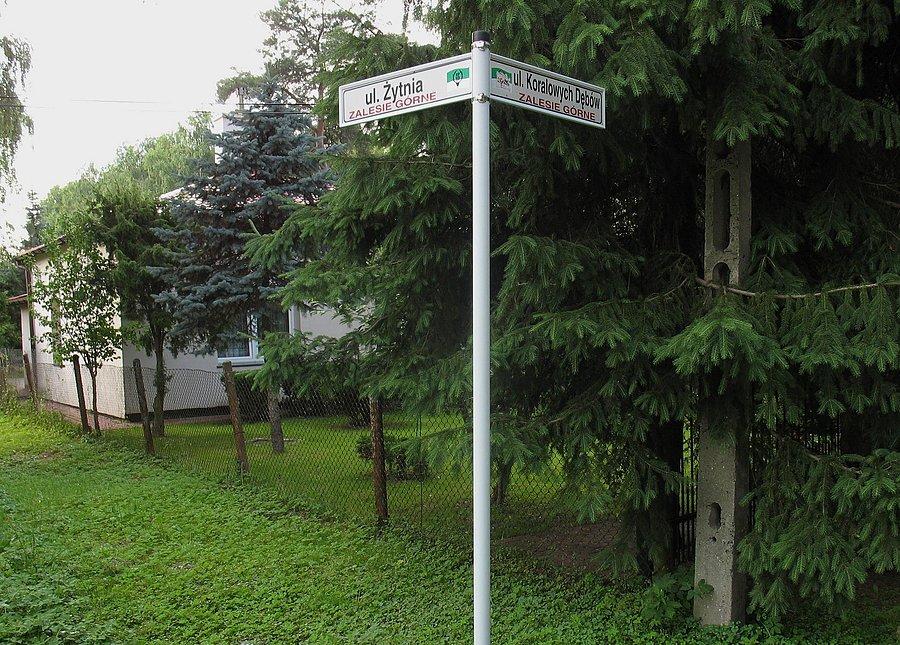 Proponuję zmianę na Dębowe Mocne