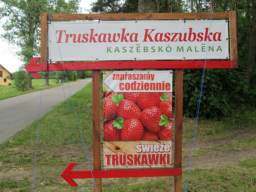 Truskawka kaszubska...zapraszamy
