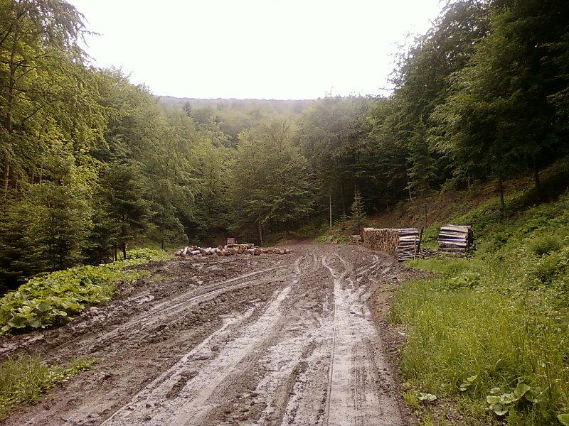 Koniec drogi