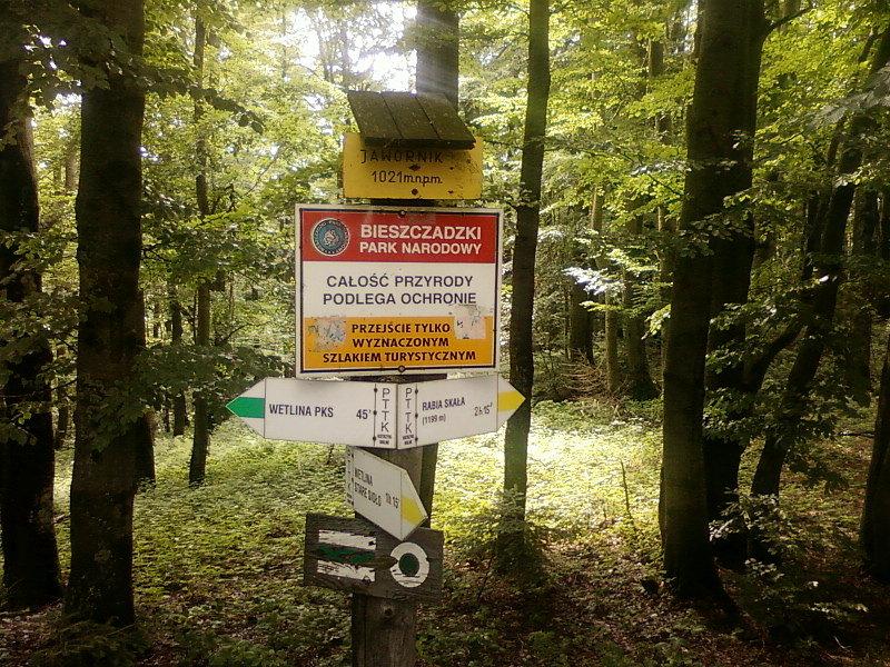 Szczyt Jawornika