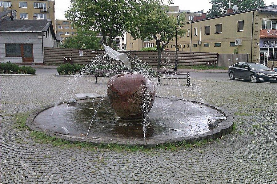 Na rynku w Tarczynie