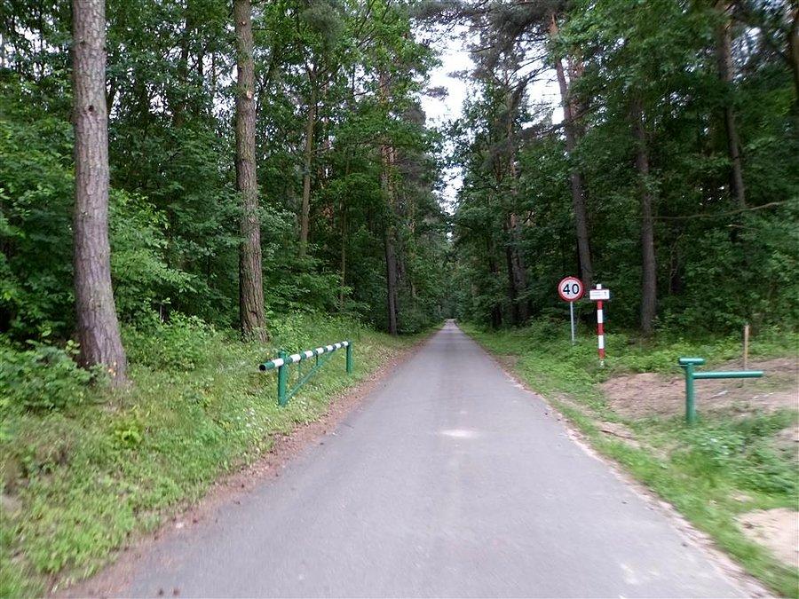 Leśny skrót z Sękocina do drogi Nadarzyn - Magdalenka