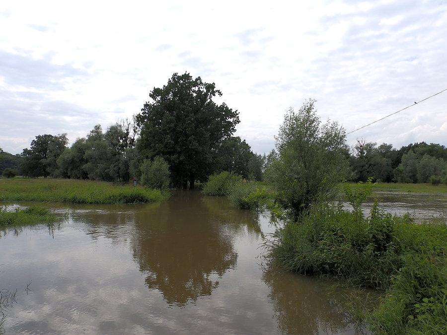 Ul. Gałowska