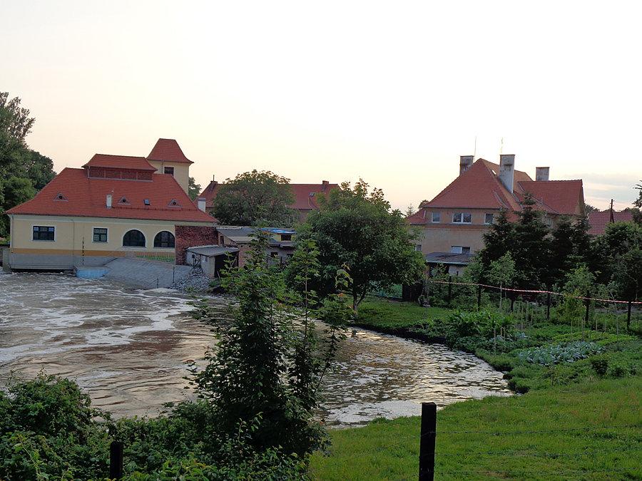 Brzeg bystrzycy