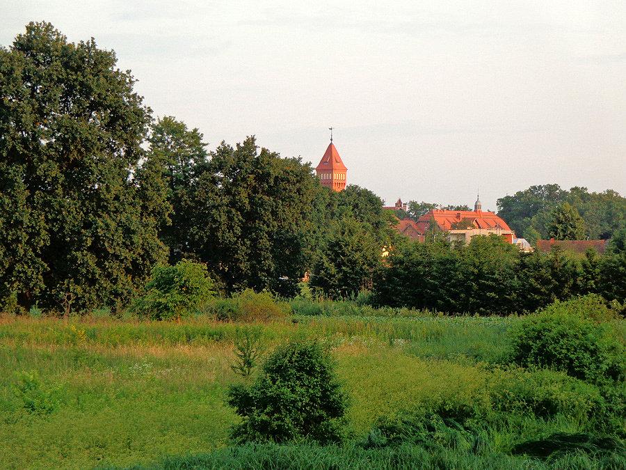 Widok na pracze odrzańskie