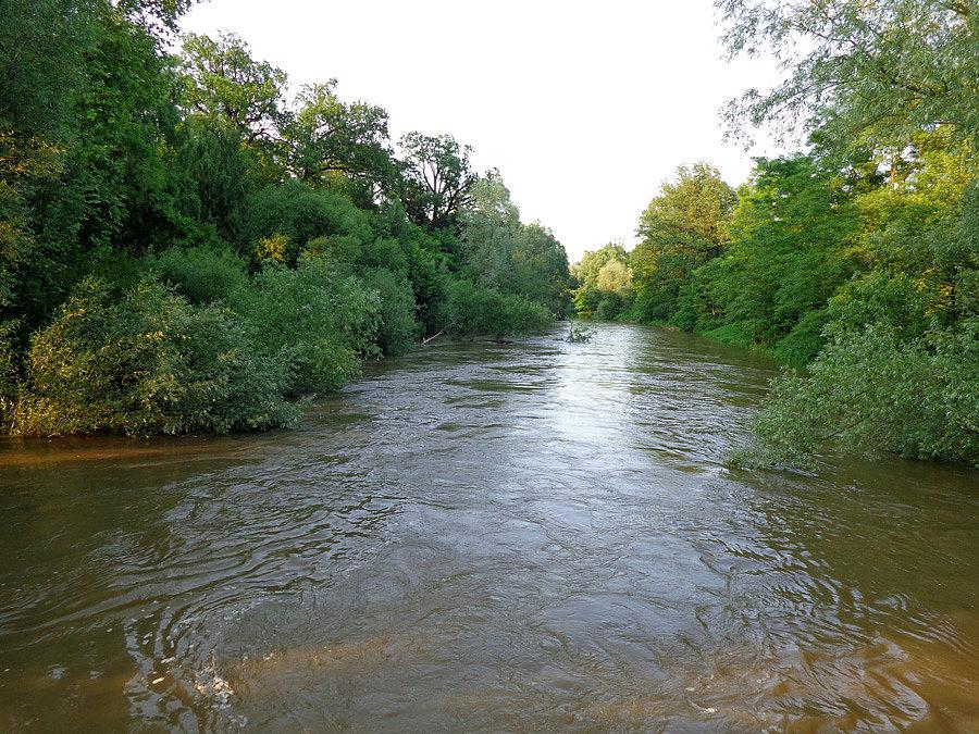 Bystrzyca w leśnicy I