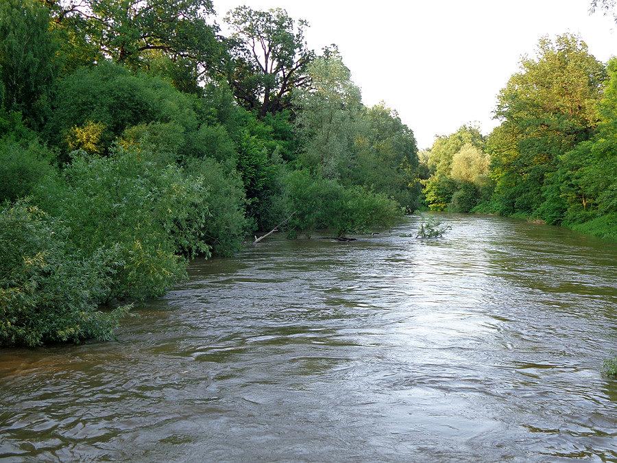 Bystrzyca w leśnicy I