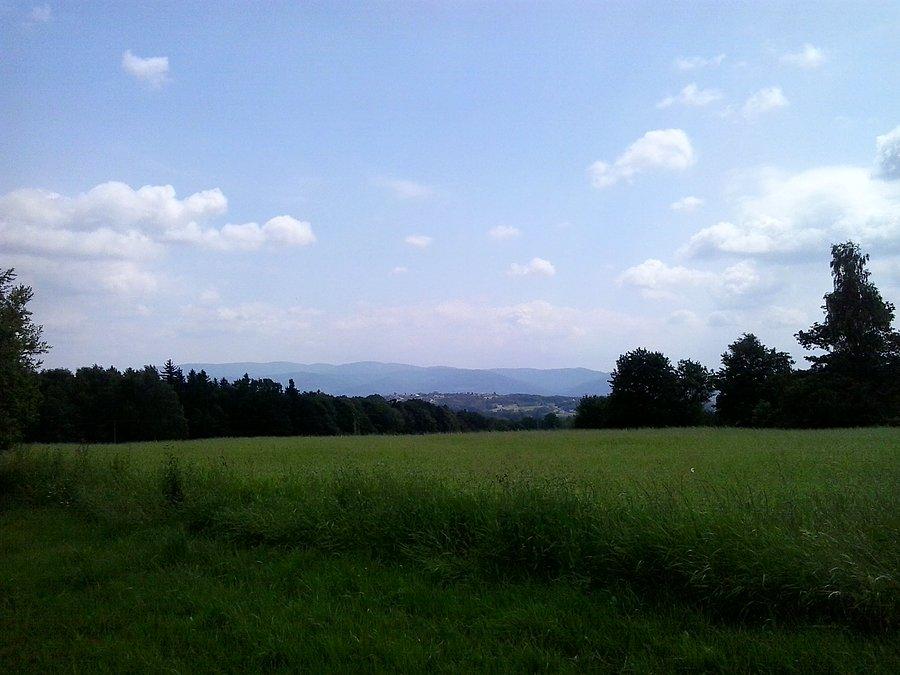 Widok na Beskid Śląski