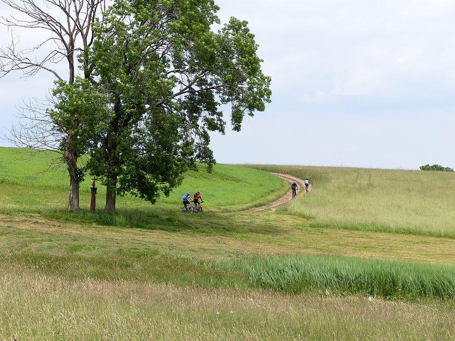 Peleton przełajowo i nawet nie obejrzą się za siebie czy Feniks jeszcze tam jedzie ;)). Trudne jest życie fotoreportera