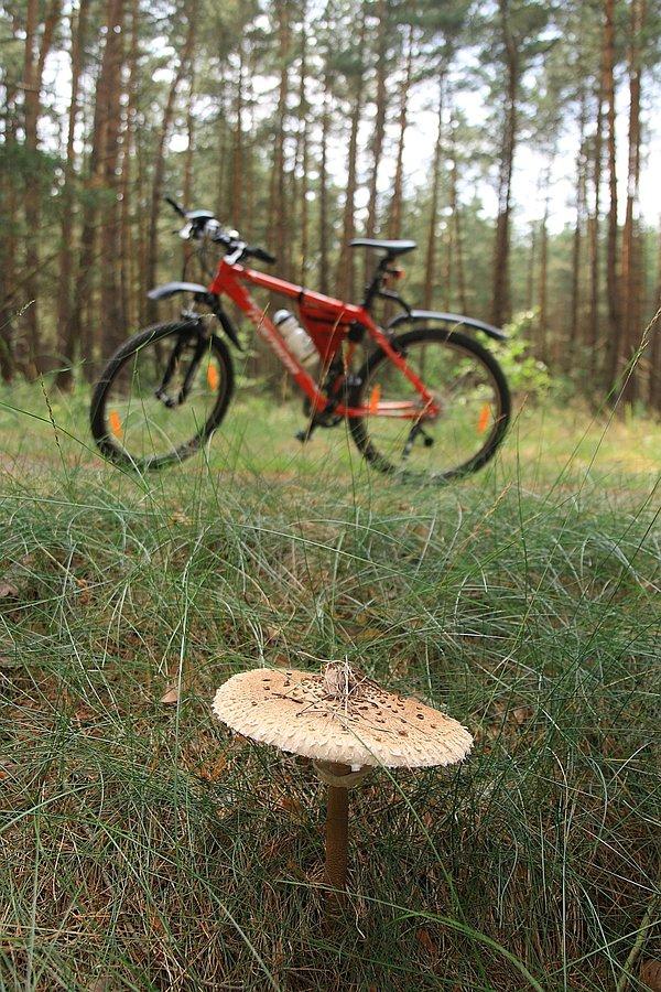 W drodze powrotnej przezd Hintersee