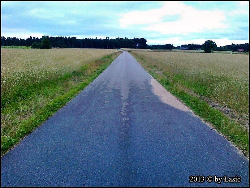 Przez pola