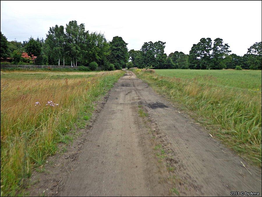 Przez pola znów
