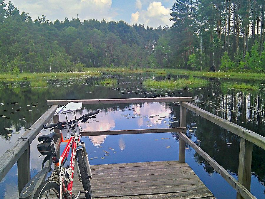 Pnk.16 bike orient pomost na przepięknym stawie