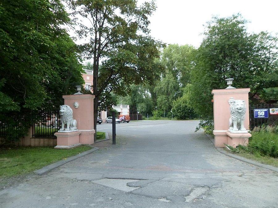 Lwy przed hotelem w Falentach