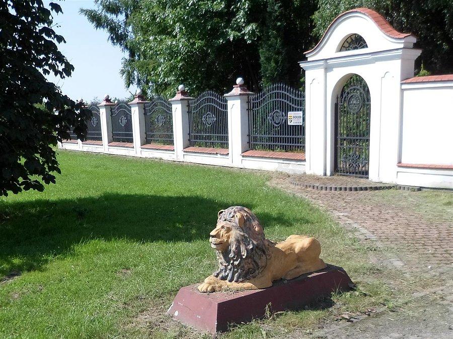 Lew - koszmarek