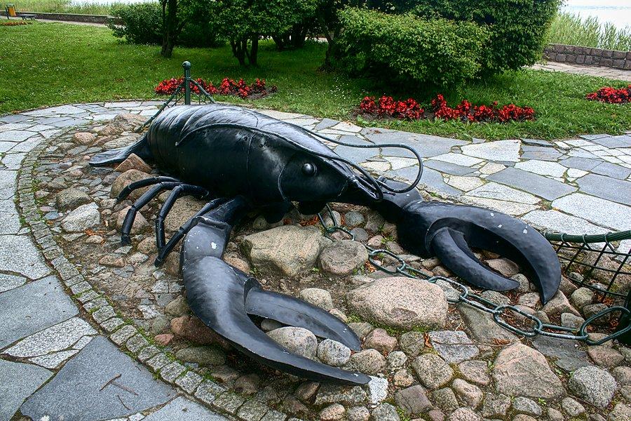 Ińskie raczysko
