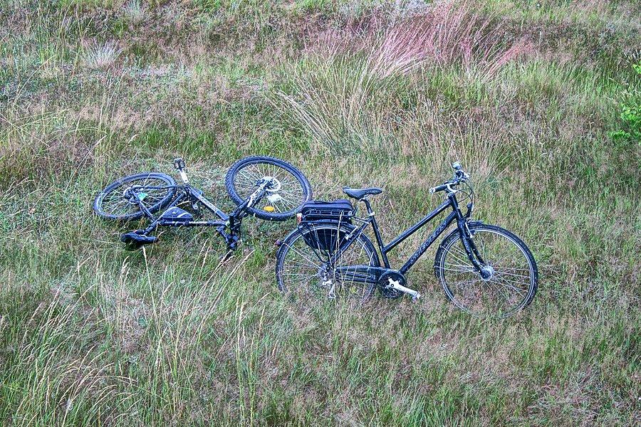 Nasze rumaki pod wieżą