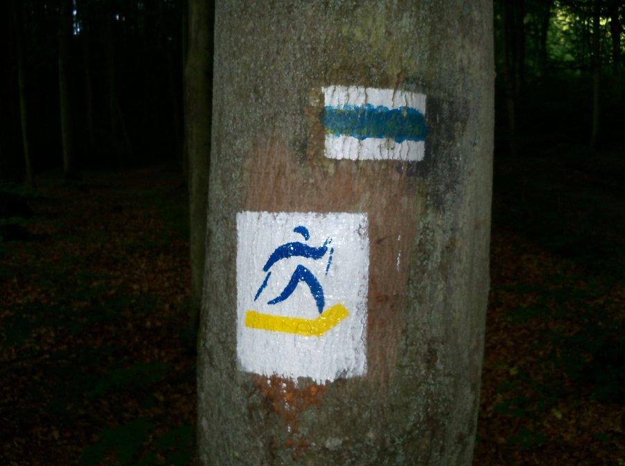 BAŻANTARNIA - szlak pieszy i nordic walking