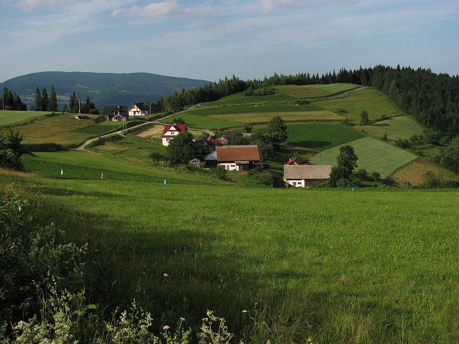 Klenina