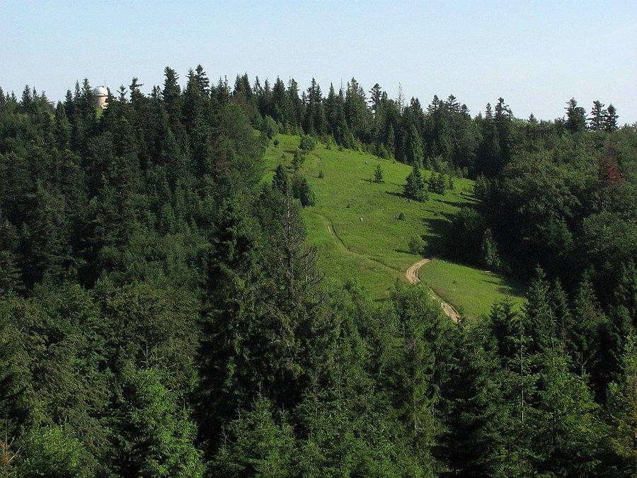 Suchora (1000m), po lewej Obserwatorium Astronomiczne wbite w las