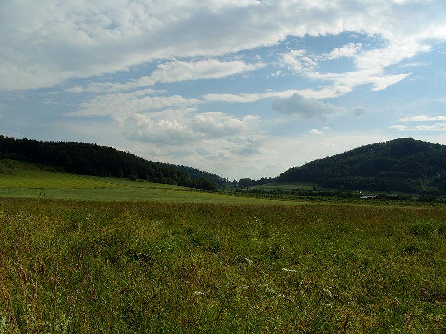 Widok z Ołdrzychowic w stronę Mielnika