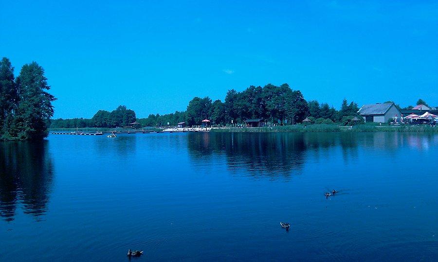 Zakrzew