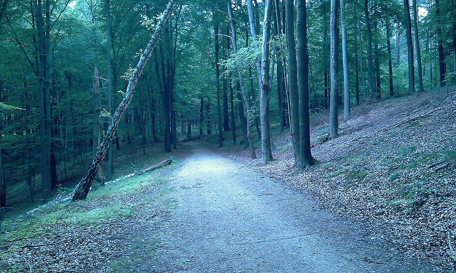 Ścieżka dydaktyczna "Ku żródłom"