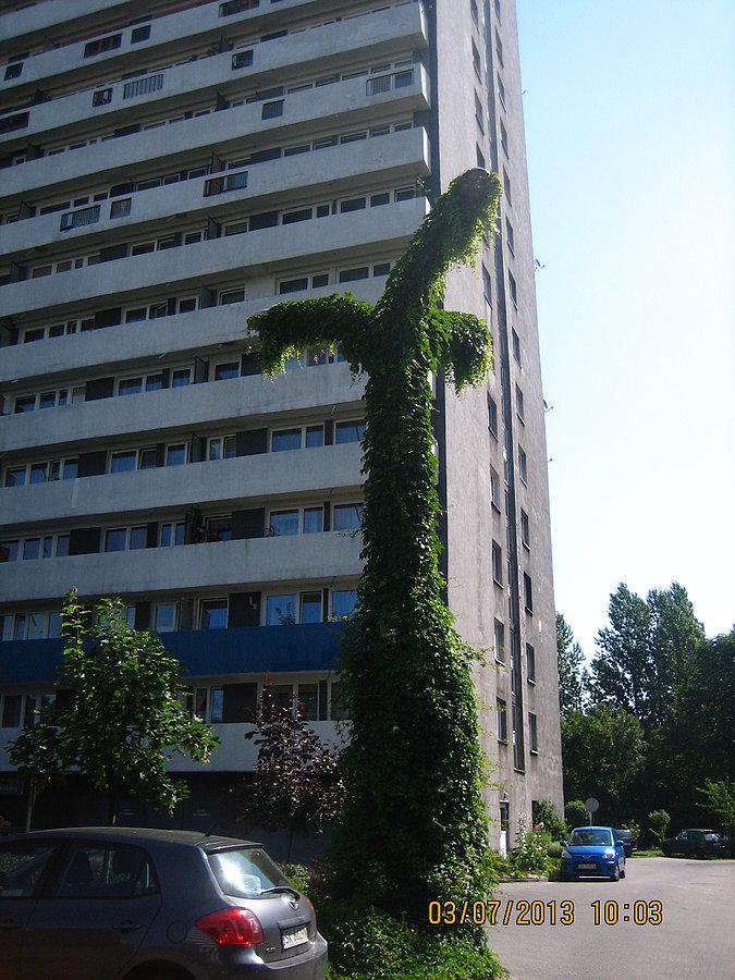 Obrośnięta latarnia na Tysiącleciu
