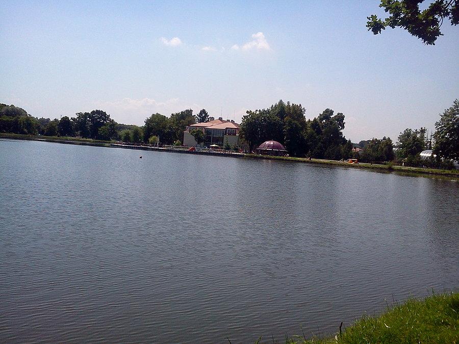 Staw w Zebrzydowicach