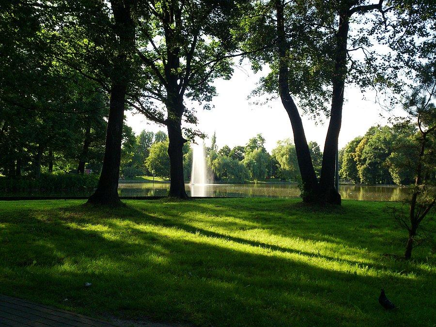 Park w Pruszkowie