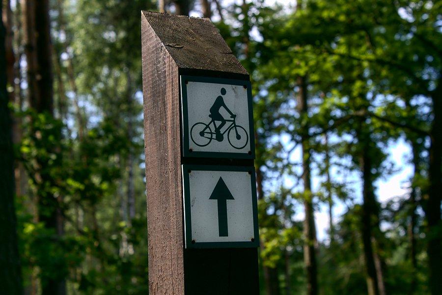 Oznakowanie na autostradzie rowerowej z Sowna do Goleniowa :)