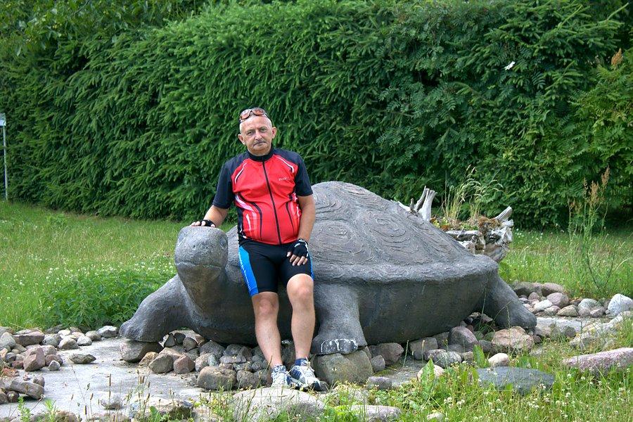 W Żółwiej Błoci