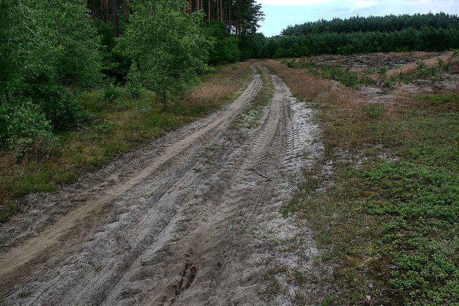 I znowu Paweł prowadził na skróty ;)