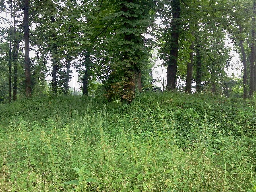 Hnojnik gródek