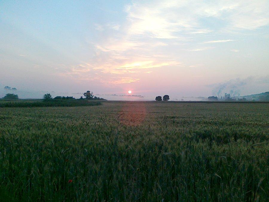 Wschód słońca nad Czarnkowem