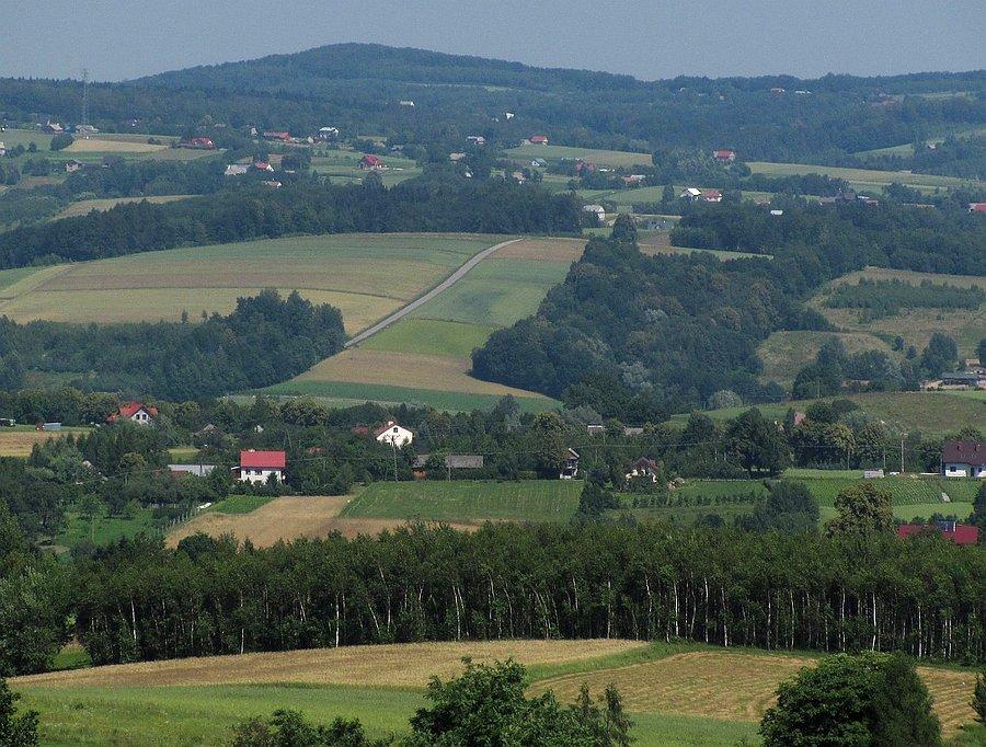 Podjazd do Jonin nie wygląda z daleka tak źle