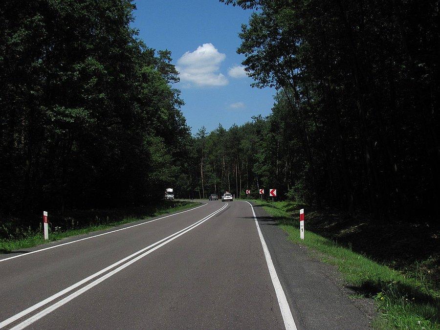 Lasy okolicy Dąbrowy Tarnowskiej
