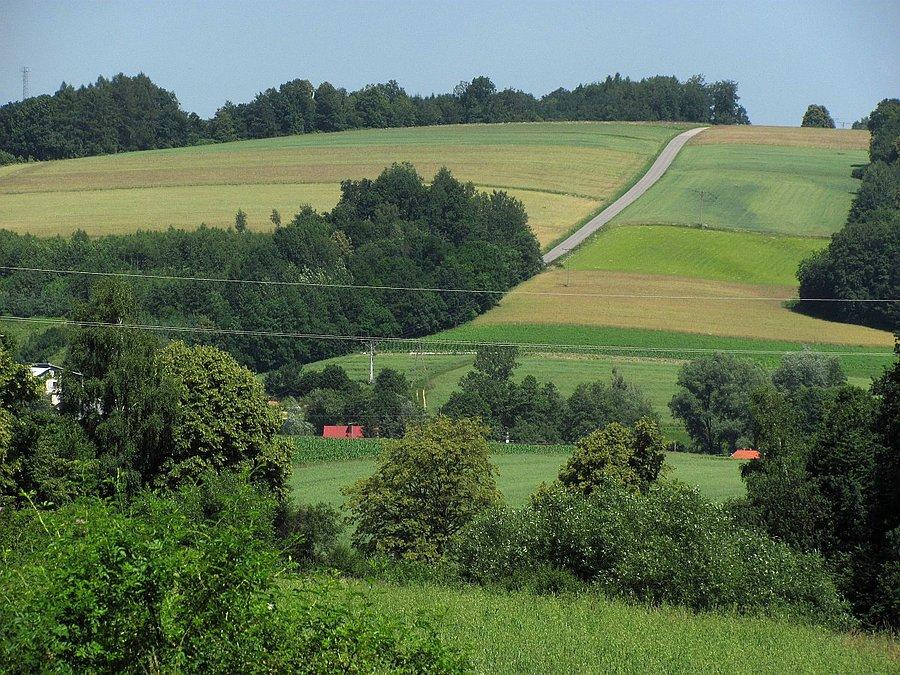Bliżej robi się jakiś stromy