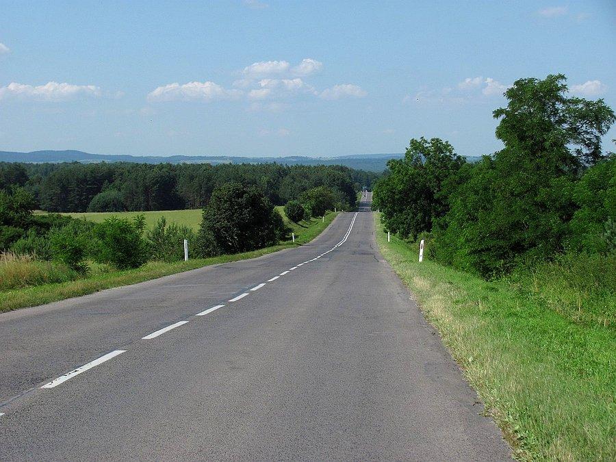 Lasy, asfalty, Chańcza za drzewami