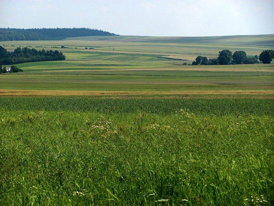 Miechowszczyzna