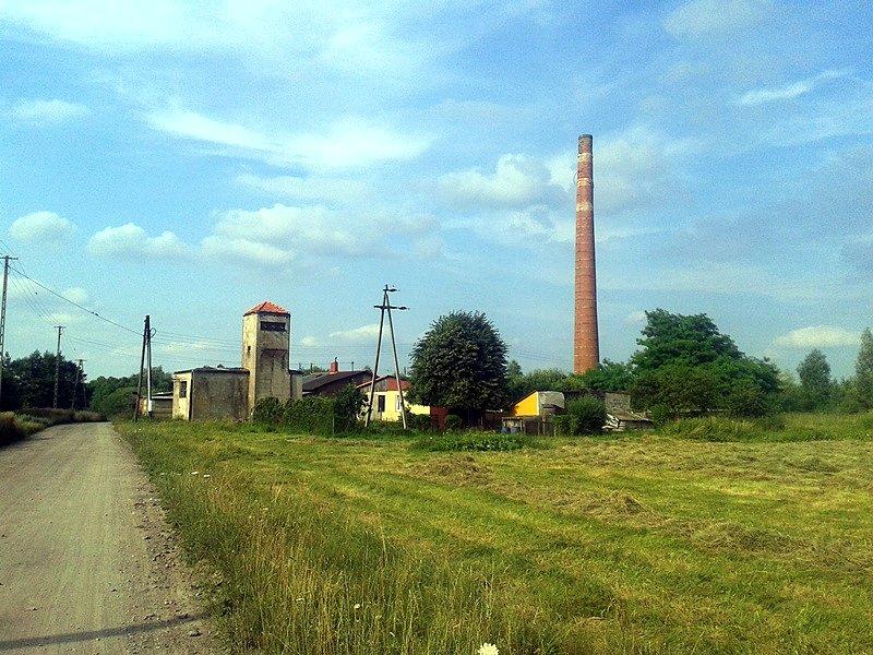 Ruiny cegielni niedaleko Dobronia