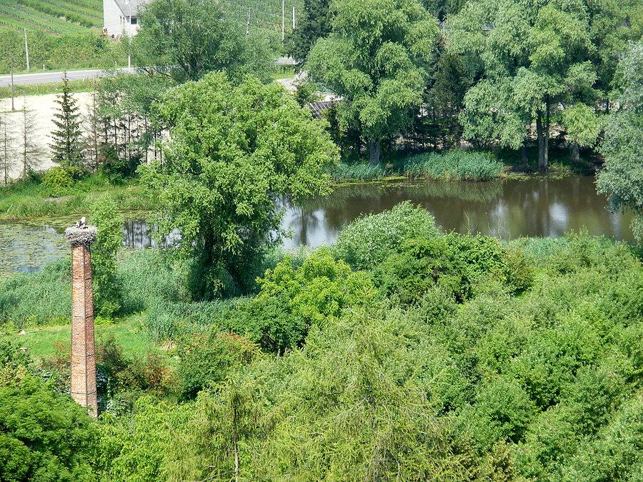 Zamek w Czersku- z wieży, boćki