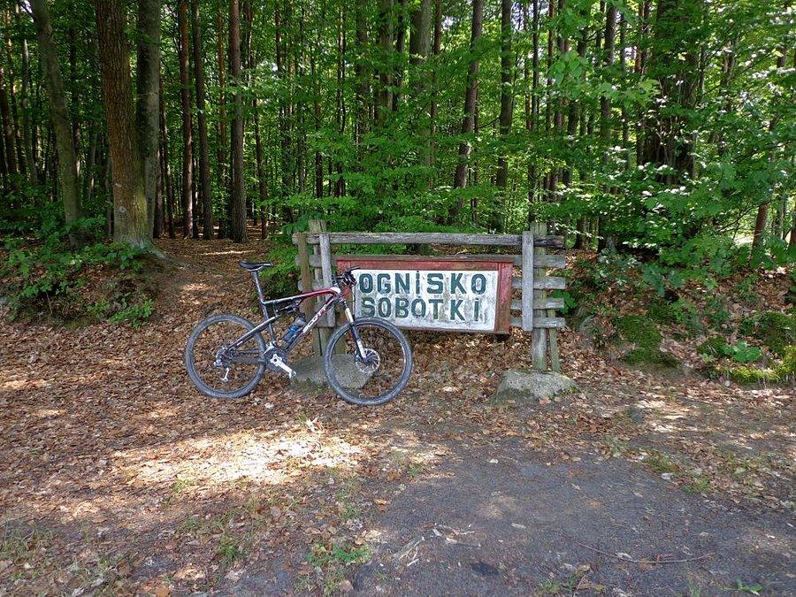 Ognicho
