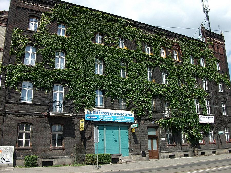 Zarośnięty