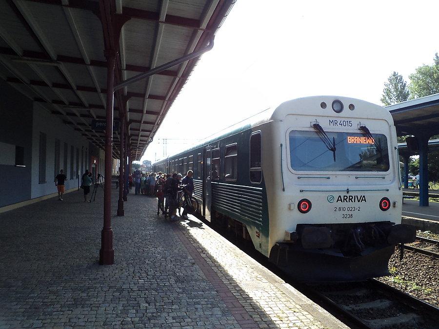 Arriva w Ebowie